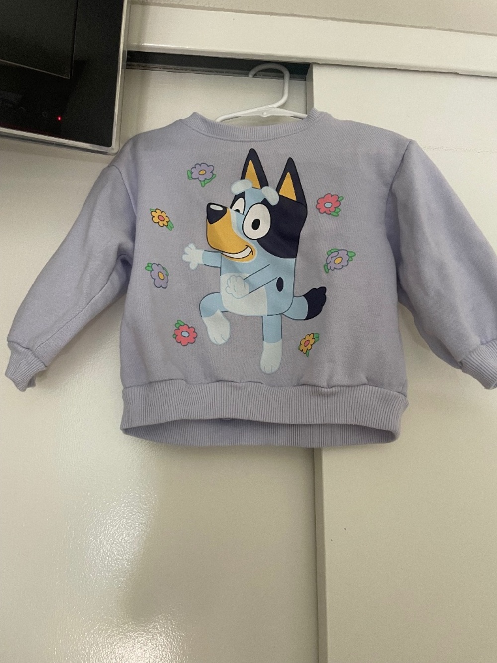 Bluey sweatshirt